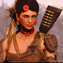 Skyrim Mods - Crimsomrider's Accessories - No AWKCR and AE